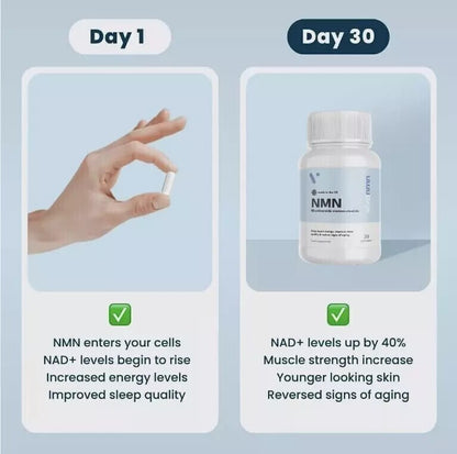 New Pure NMN | 500mg Capsules